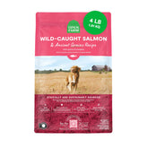 Open Farm Ancient Grains Dry Dog Food bag with protein-rich formula for active dogs