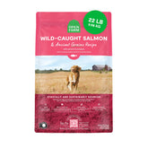 Open Farm Ancient Grains dry dog food bag showing protein-forward nutrition for balanced meals
