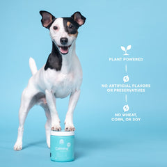 Open Farm Calming Chews label and recyclable jar; sustainable packaging.