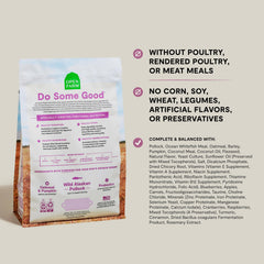 Open Farm Digestive Health kibble close-up for gentle digestion