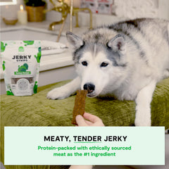 Open Farm turkey recipe jerky pouch highlights grain free, protein power for dogs