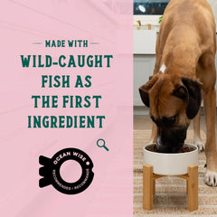 Open Farm Goodbowl ingredients with non-GMO produce and grains for quality meals.