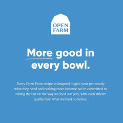Open Farm grain-free dry cat food ingredient close-up shows non-grain formula.