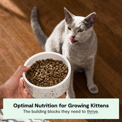 Open Farm homestead turkey and chicken ingredients highlight high-quality protein.