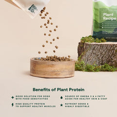 Open Farm Kind Earth plant-based dry dog kibble 20lb pack highlights sustainable packaging.