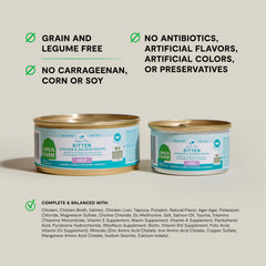 Close-up of smooth pate texture highlighting appealing mouthfeel for kittens.