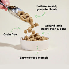 Open Farm morsels close-up showing meat-rich texture for dogs.