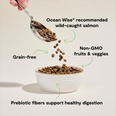 Open Farm non-GMO fruits and vegetables featured in cat kibble