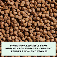 Open Farm non-GMO veggies with pumpkin and coconut oil for balanced nutrition.