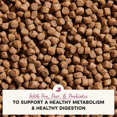 Open Farm probiotics-prebiotics-postbiotics graphic highlights gut-supporting blend