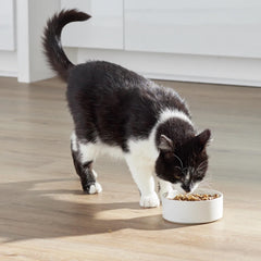 Open Farm RawMix bone broth-coated kibble highlights flavor and texture