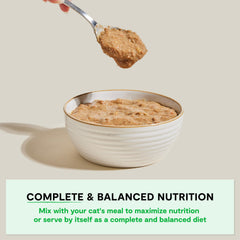 Open Farm Rustic Blend highlights human-grade ingredients for transparent pet meals.