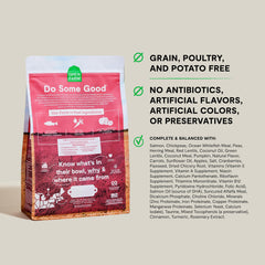 Open Farm salmon recipe bag highlights appetizing, complete kibble for balanced meals.