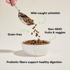 Open Farm wild-caught whitefish protein source signals sustainable seafood.