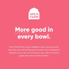 Open Farm Wild-Caught Salmon dry cat food kibble texture, showing bite-sized pieces