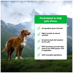 Freeze-dried raw chunks in Open Farm RawMix add texture and nutrition