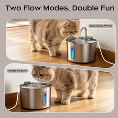 Opeth cat water fountain waterflow close-up invites pets to drink.