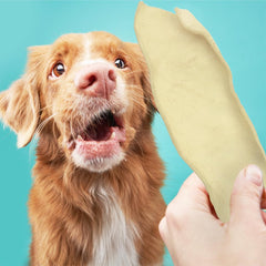 Ora-Clens enzyme-coated dog treat showing textured surface for effective chewing.