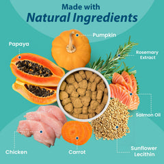 ORAVELi dog probiotics packshot reveals the comprehensive formula for gut balance.