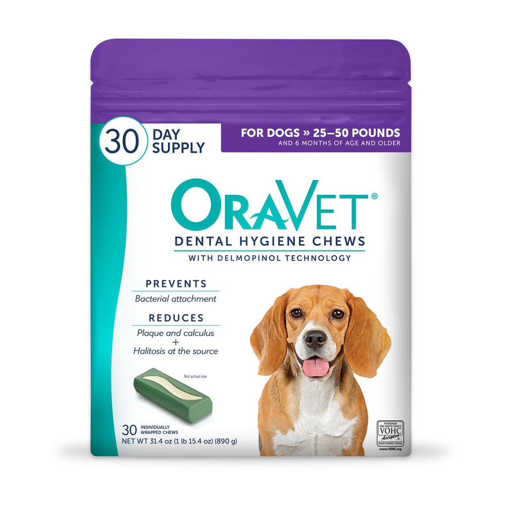 OraVet Dental Chews purple pouch packaging for easy at-home dental care.