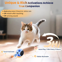 ORSDA moving ball cat toy demonstrates dynamic action for play