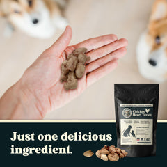 Oregon Silkworms dog and cat treats in bowl, grain-free and tasty