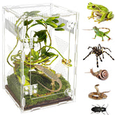 OREKEMO acrylic jumping spider habitat offers crystal-clear visibility for observation.