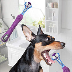 Orgrimmar rubber-handle pet toothbrush provides non-slip grip during brushing