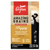 ORIJEN Amazing Grains Puppy bag front view showing 22.5 lb packaging and branding.