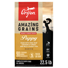 ORIJEN Amazing Grains Puppy bag front view showing 22.5 lb packaging and branding.