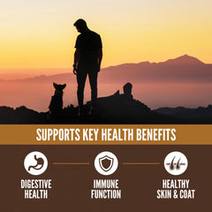Grains and meat ingredients emphasize 90% animal protein for muscle support in dogs