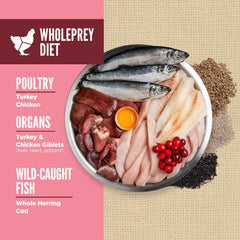ORIJEN Amazing Grains Small Breed chicken and turkey protein close-up