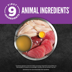 ORIJEN bone-broth-hydration savory broth to support kitten hydration and flavor.