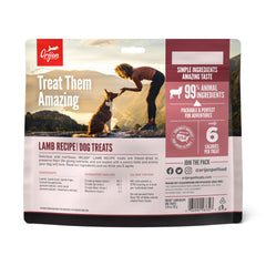 ORIJEN freeze-dried lamb recipe closeup, crisp texture for training.
