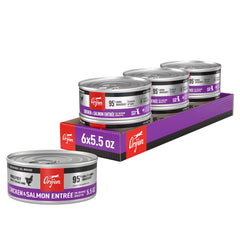 ORIJEN kitten pate bone broth chicken and salmon cans on shelf enhance hydration.
