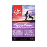 ORIJEN Puppy Large grain-free bag front view highlighting premium nutrition for large breed puppies