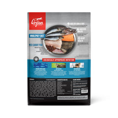 ORIJEN Six Fish kibble close-up highlights WholePrey ingredients for feline nutrition.