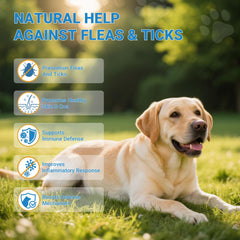 Oritess chicken-flavored dog chews ideal for easy preventive dosing