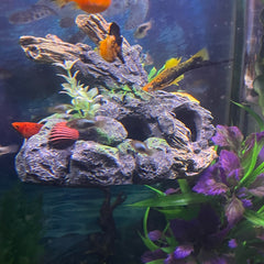OrnaMounts elevated aquascape wall ornament above the substrate