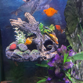 OrnaMounts magnetic driftwood outcropping anchored to glass for space saving