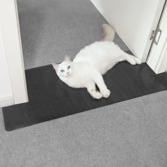 Oroonoko carpet protector doorway guards carpets from pet scratches.