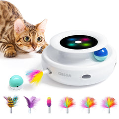 ORSDA 2in1 ball toy sparks chasing instincts for safe, engaging play.