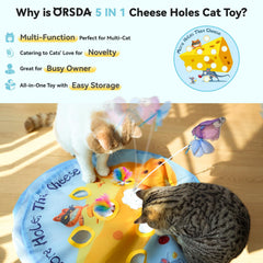 ORSDA cheese cat toy feather chase promotes active exercise indoors