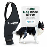 Ortocanis knee brace on left leg provides 360Β° stability for daily activity.