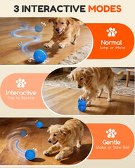 Osou automatic moving dog ball keeps dogs engaged with unpredictable direction changes