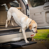 Otto Step pet ramp platform 18x16 eases car entry for dogs on trips