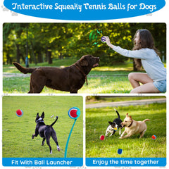 Dog playing outdoors with Ousiya balls in the yard for active fun