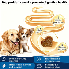 OurCares Probiotics for Dogs chews close-up highlighting ingredients and palatable appeal.