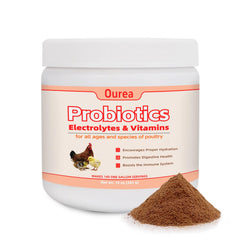 Ourea chicken electrolyte powder bottle shown for hydration support and easy dosing.