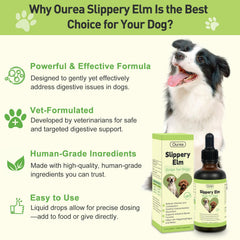 Ourea Slippery Elm Drops ingredient panel highlights three-ingredient pure formulation.
